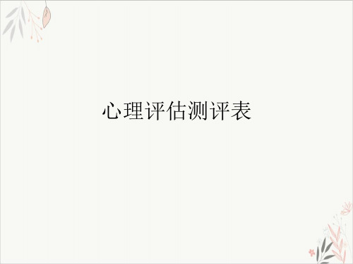 心理评估测评表课件-PPT