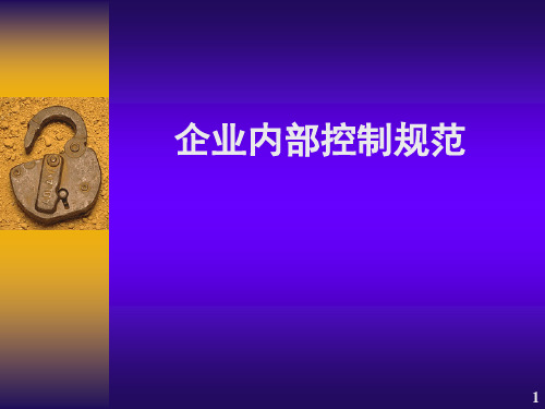 企业内部控制规范