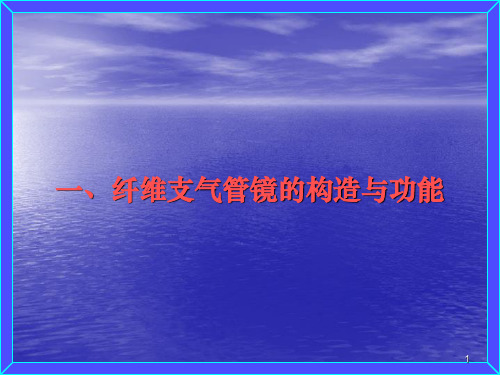 支气管镜技术临床应用PPT课件