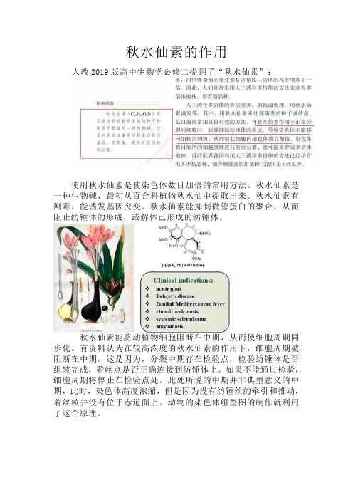 备课素材：秋水仙素的作用-高一下学期生物人教版必修2