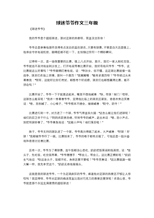 球迷爷爷作文三年级