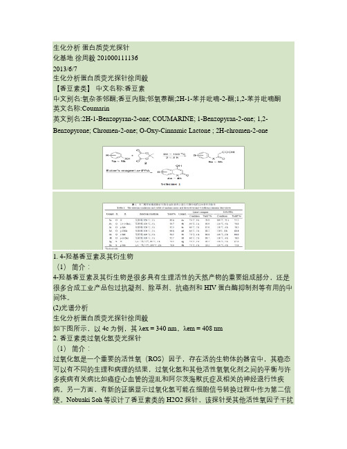 生化分析-蛋白质荧光探针