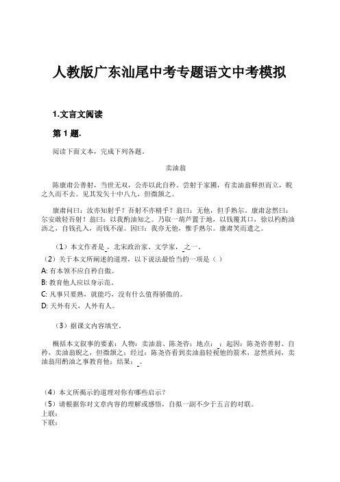 人教版广东汕尾中考专题语文中考模拟试卷及解析