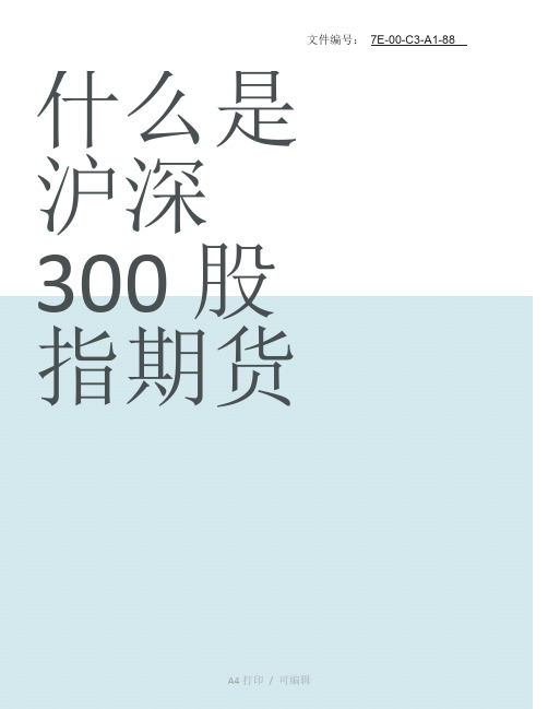 总结什么是沪深300股指期货