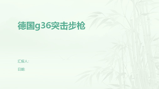 德国g36突击步枪