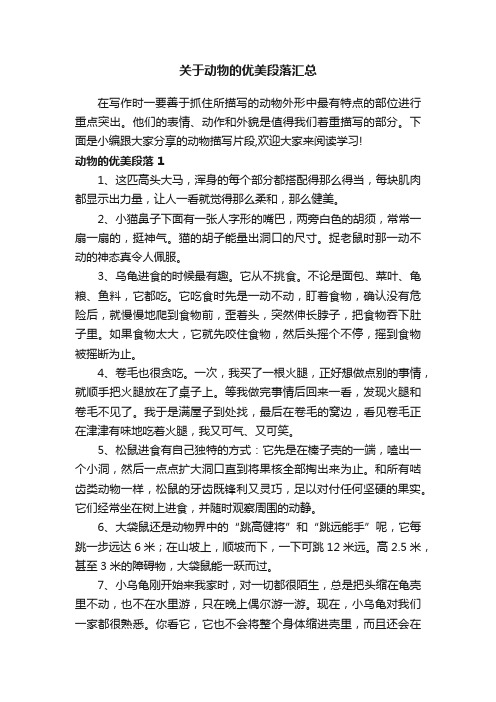 关于动物的优美段落汇总