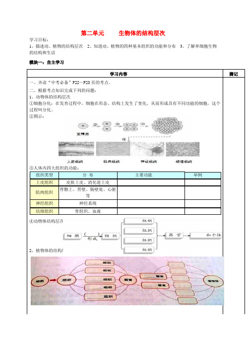 广东省河源中国教育学会中英文实验学校七年级生物上册 第二单元 生物体的结构层次(第3课时)讲学稿