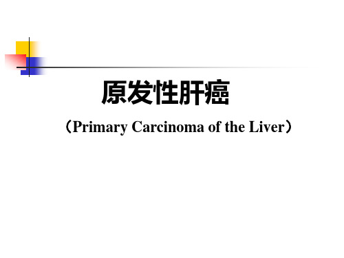 原发性肝癌 PPT精品课件