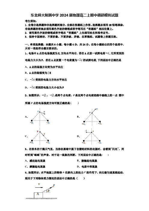 东北师大附属中学2024届物理高二上期中调研模拟试题含解析