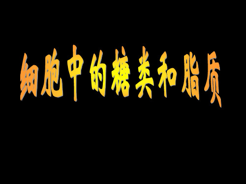 人教版高中生物必修一第二章第4节《细胞中的糖类和脂质》优秀课件(29张) (2)(共29张PPT)