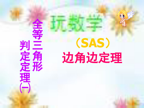 SAS定理的证明ppt