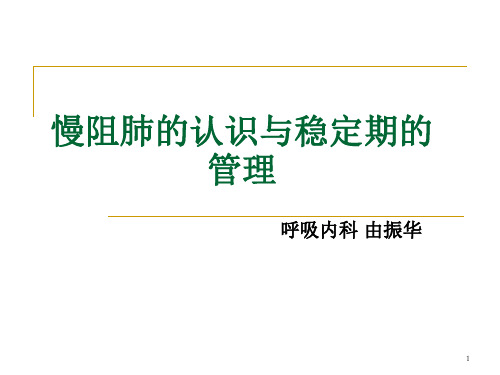 慢阻肺的认识与稳定期的管理PPT参考课件