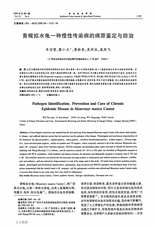 黄喉拟水龟一种慢性传染病的病原鉴定与防治