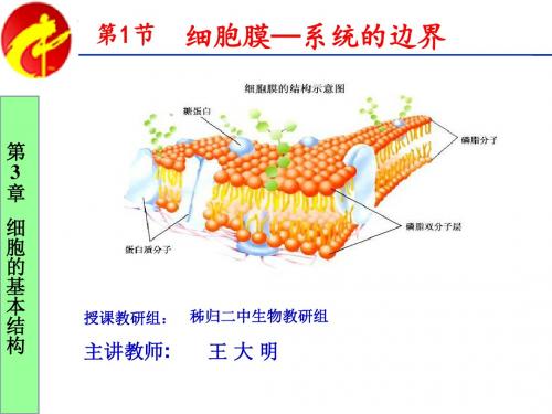 2019人教版高中生物必修一第三章第1节《细胞膜——系统的边界》优秀课件(共23张PPT)教育精品.ppt