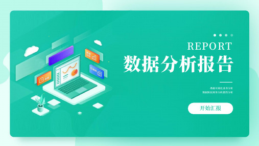 可视化调查数据分析报告模板