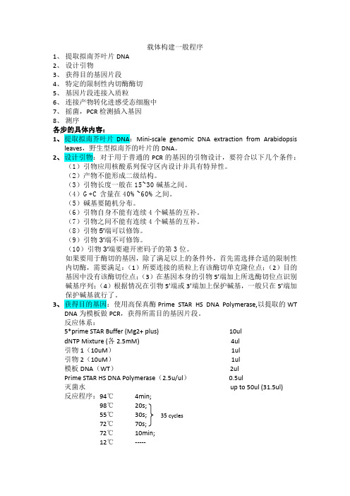 载体构建程序