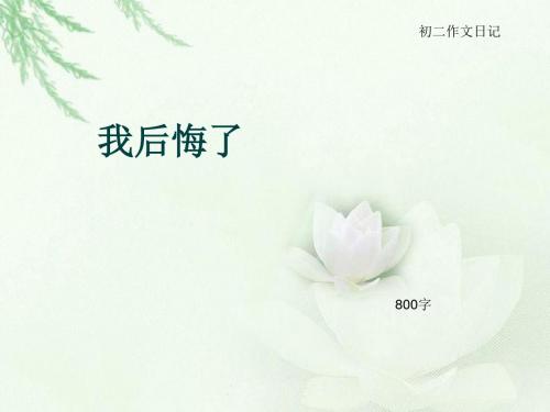 初二作文日记《我后悔了》800字(总10页PPT)