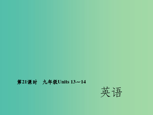 中考英语 第一轮 考点精讲精练 第21课时 九全 Units 13-14 人教新目标版