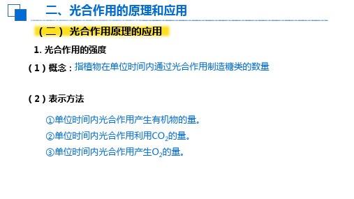 光合作用的原理和应用课件高一生物