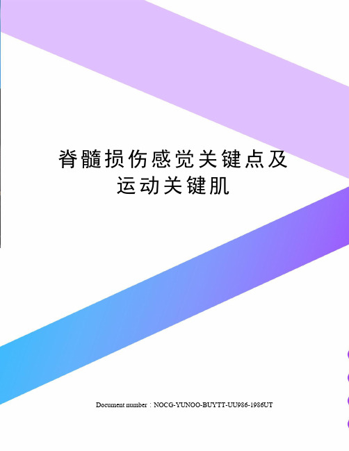 脊髓损伤感觉关键点及运动关键肌