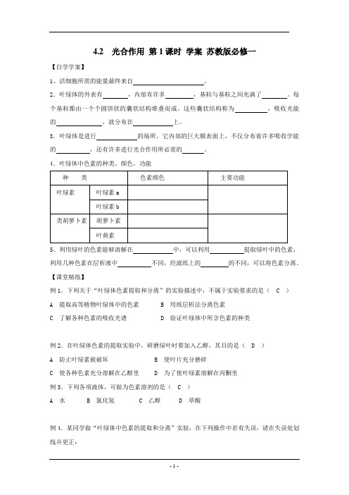 4.2  光合作用 第1课时 学案 苏教版必修一