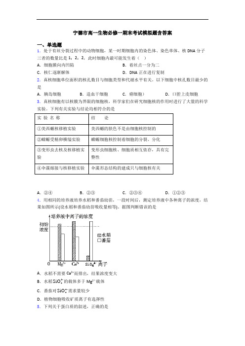 宁德市高一生物必修一期末考试模拟题含答案