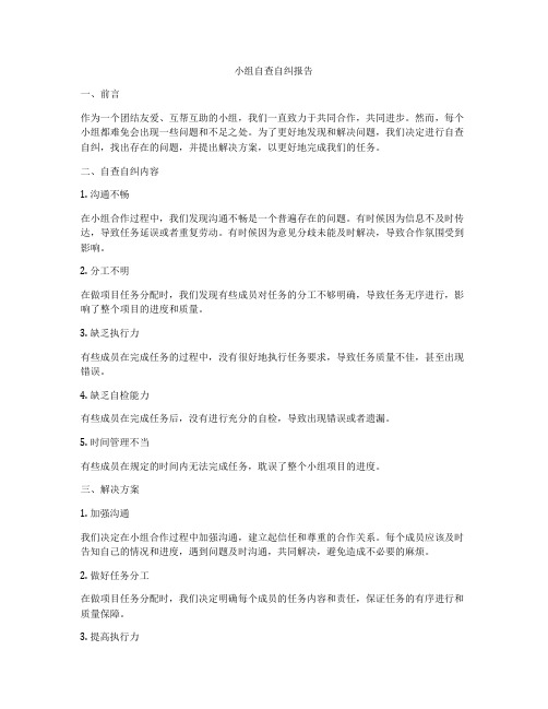 小组自查自纠报告