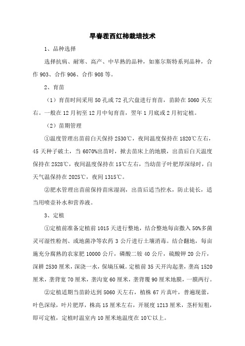 早春茬西红柿栽培技术
