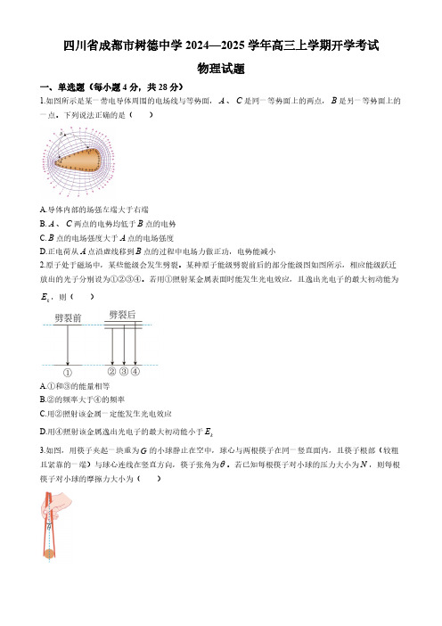 四川省成都市树德中学2024-2025学年高三上学期开学考试物理试题(含解析)