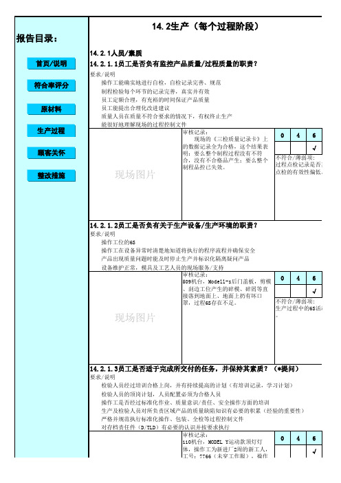 VDA6.3过程审核报告