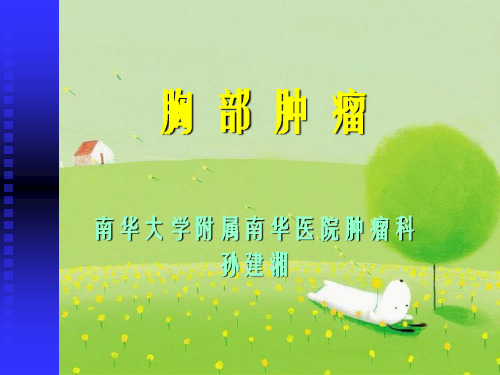 《胸部肿瘤》幻灯片PPT