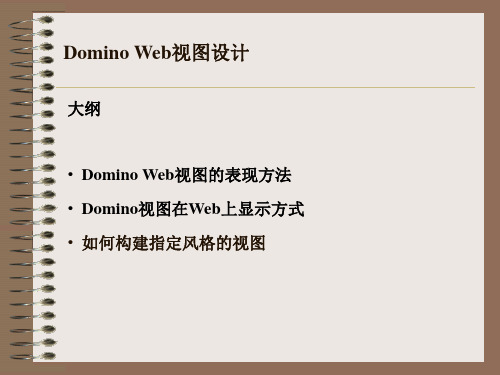 Domino Web视图设计