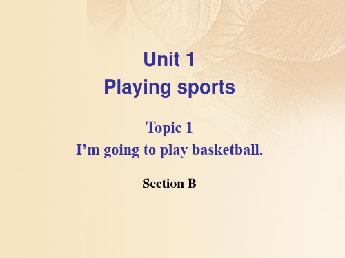 八年级英语上册Unit1PlayingSportsTopic1I'mgoingtoplaybasketballSectionB课件1(新版)仁爱版