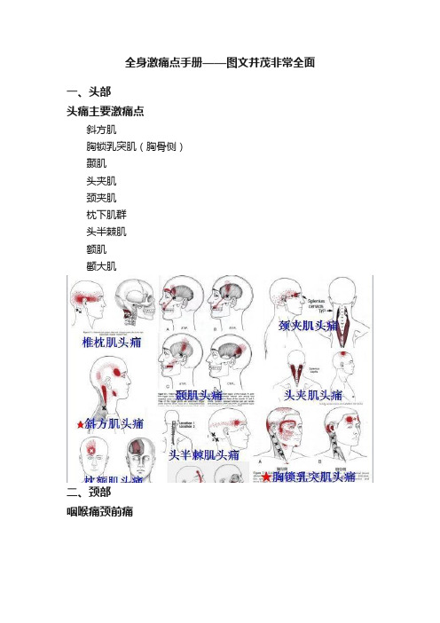 全身激痛点手册——图文并茂非常全面