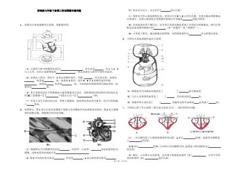 济南版七年级下册第三章人体内的物质运输  识图题专题训练(无答案)