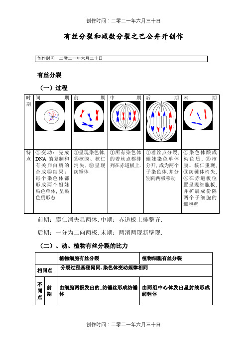 高中生物必修二有丝分裂-减数分裂详尽分析