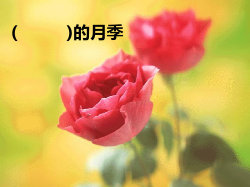 三年级下册《花瓣飘香》精品课件