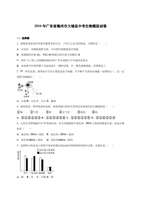 广东省梅州市大埔县2016届中考生物模拟试卷(解析版)