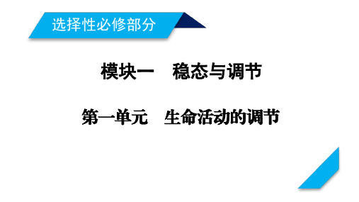 2021新高考生物人教版一轮课件：考能提升6 生命的稳态基础 