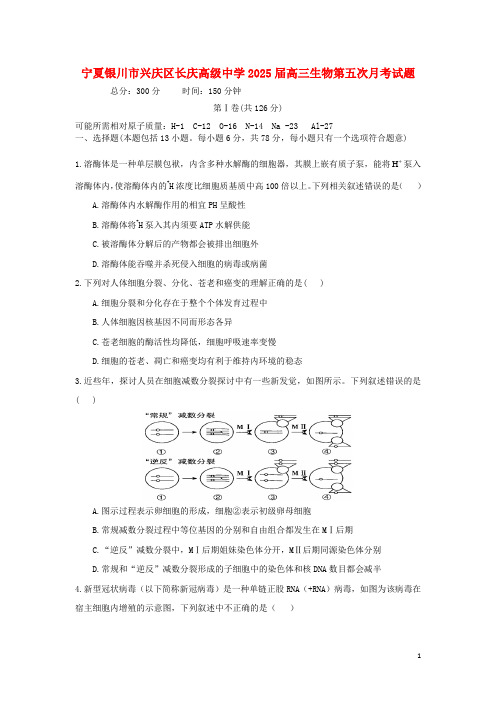 宁夏银川市兴庆区长庆高级中学2025届高三生物第五次月考试题