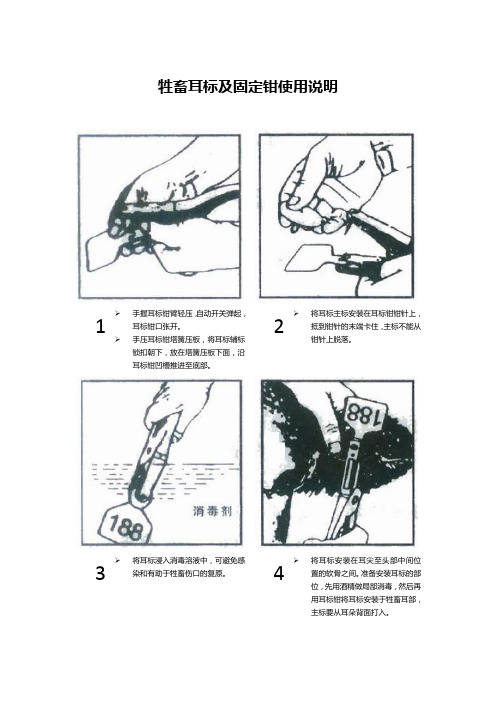 牲畜耳标及固定钳使用说明