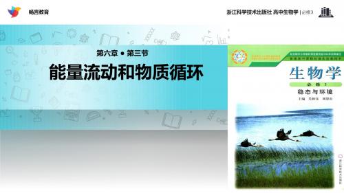 高中生物浙科版必修3 6.3 教学课件 《能量流动和物质循环》(浙科)