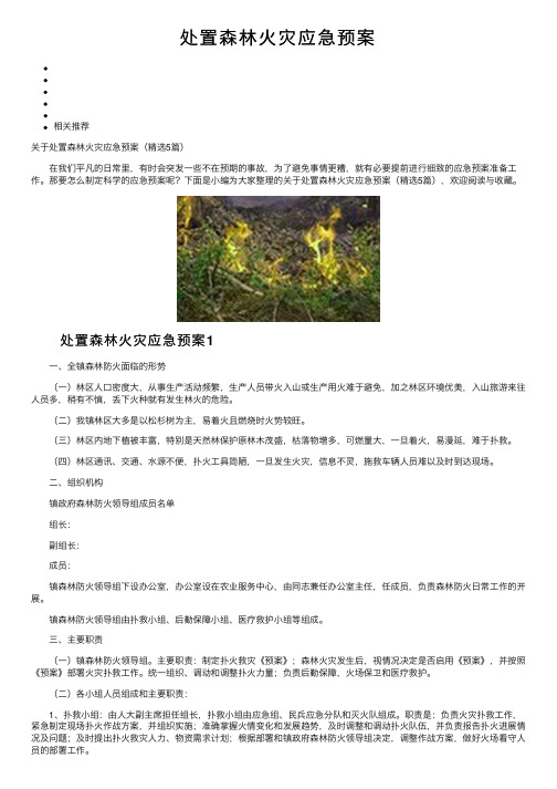 处置森林火灾应急预案