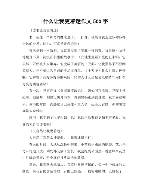 什么让我更着迷作文500字