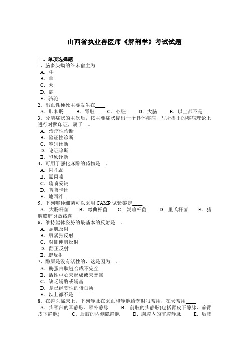 山西省执业兽医师《解剖学》考试试题