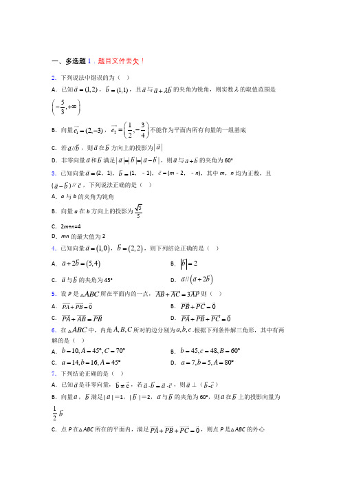 北京市十一学校平面向量及其应用最新高考试题精选doc