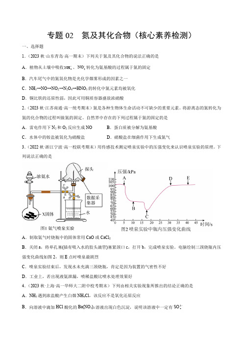 专题02  氮及其化合物(核心素养检测)(人教版2019必修第二册)(原卷版)