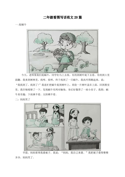 二年级看图写话范文20篇