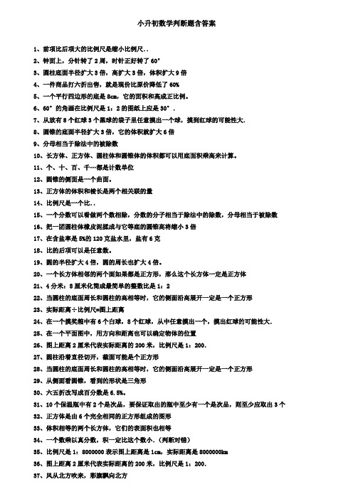 小学六年级数学易错判断题200题含答案