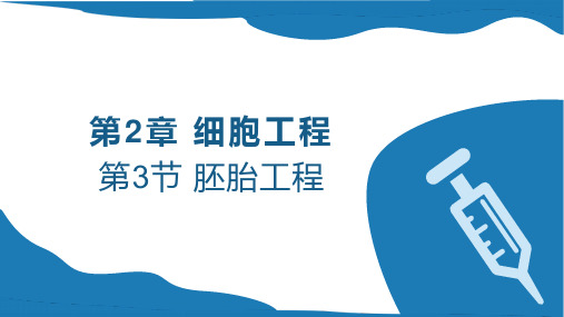 2.3.1 胚胎工程的理论基础-高二生物下学期课件(人教版2019选择性必修3)